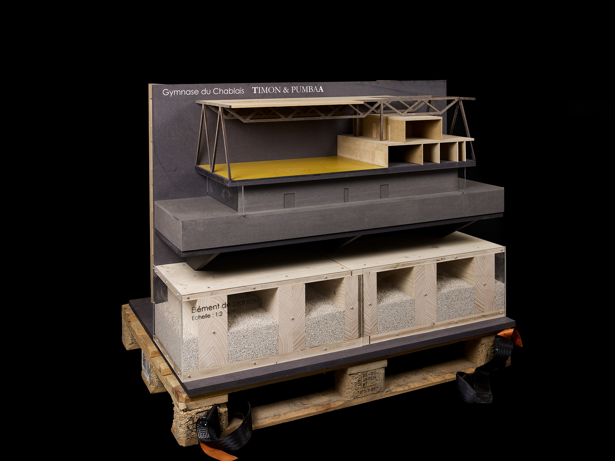 06  · timon & pumbaa